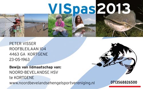 VISpas_2013.jpg
